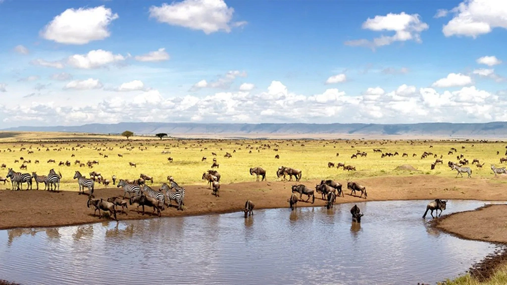 kenya-vs-tanzania-safari-the-better-african-safari-experience